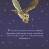 Rowling*Harry Potter and the Philosopher's Stone