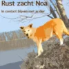 Rust zacht Noa