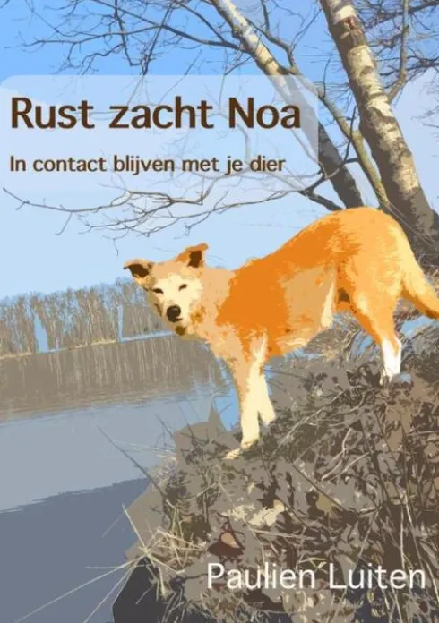 Rust zacht Noa