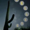 Satellite