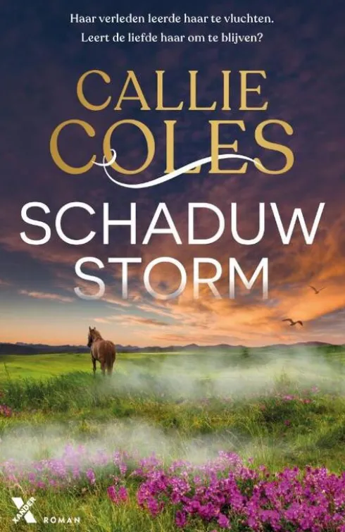 Schaduwstorm