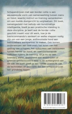 Schapendrijven met een border collie