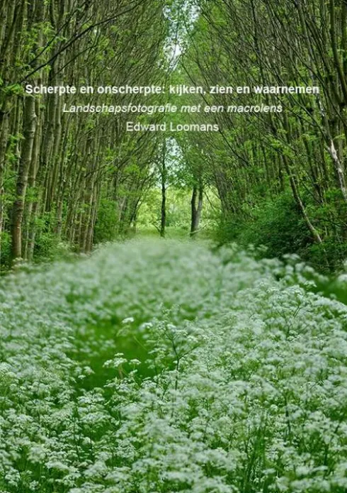 Scherpte en onscherpte: kijken, zien en waarnemen