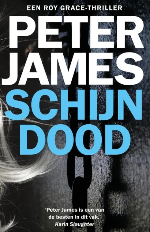 Schijndood