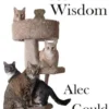 Scratching for Wisdom
