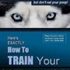 Siberian Husky Training Think Like a Dog...but Don't Eat Your Poop!: Here's EXACTLY How To Train Your SIBERIAN HUSKY