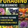 Southeast Foraging for Beginners