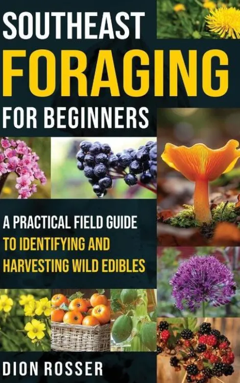 Southeast Foraging for Beginners