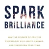 Spark Brilliance