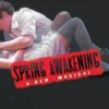 Spring Awakening: A Musical