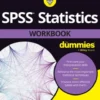 SPSS Statistics Workbook For Dummies