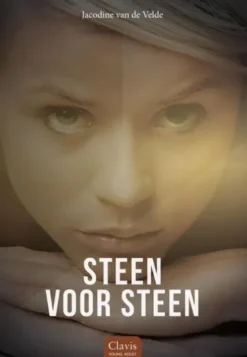 Steen voor steen