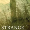 Strange Epiphanies