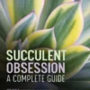 Succulent Obsession: A Complete Guide