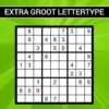 Sudoku Extra Groot Lettertype - 75 Sudoku Puzzels voor Experts