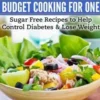 Sugar Free Budget Cooking for One: Sugar Free Recipes to Help Control Diabetes & Lose Weight