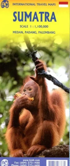 Sumatra