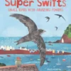 Super Swifts: Small Birds with Amazing Powers