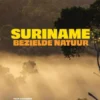 Suriname, bezielde natuur