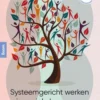 Systeemgericht werken in sociale beroepen