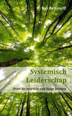 Systemisch Leiderschap