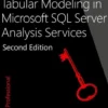 Tabular Modeling in Microsoft SQL Server Analysis Services