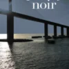 Tampa Bay Noir