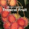 Tankard, G: Discover a world of Tropical Fruit
