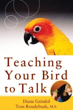 Teaching Your Bird to Talk