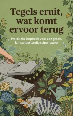 Tegels eruit, wat komt ervoor terug
