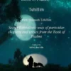 Tehillim - Book of Psalms With Shimush Tehillim