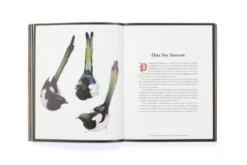 The Book of the Raven