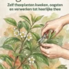 Thee van eigen kweek