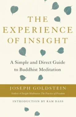 The Experience of Insight