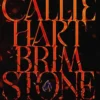 The Fae & Alchemy 2 - Brimstone