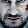 The Grey