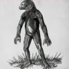 The Inhumanoids: Real Encounters with Beings that can't Exist!
