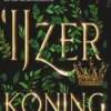 The Iron Fey 1 - De IJzerkoning