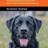 The Labrador Retriever