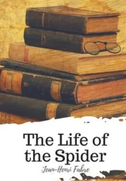 The Life of the Spider