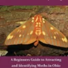 The Moths of Butterfly Ridge