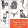 The Naturalist's Illustrated Guide to the Sierra Foothills and Central Valley