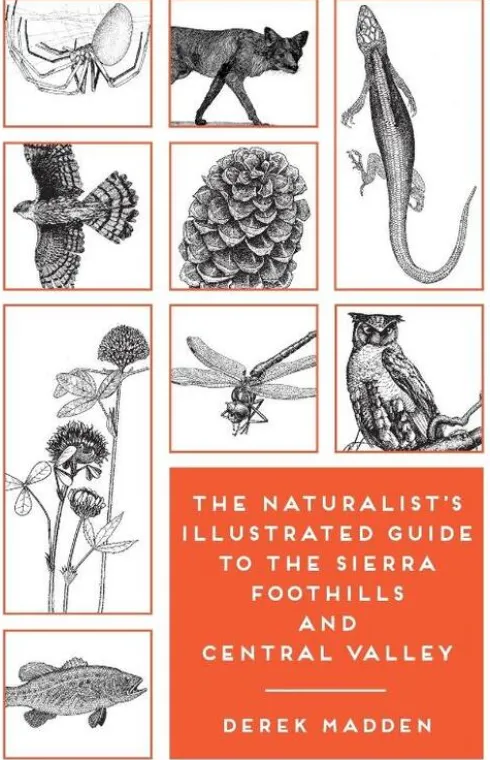 The Naturalist's Illustrated Guide to the Sierra Foothills and Central Valley