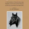 The Quarter Horse