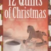 The 12 Quilts of Christmas