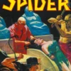 The Spider #80