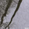 Tot de stilte weer veilig is
