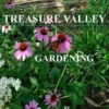 Treasure Valley Gardening
