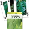 Trees of the Northeast Playing Cards