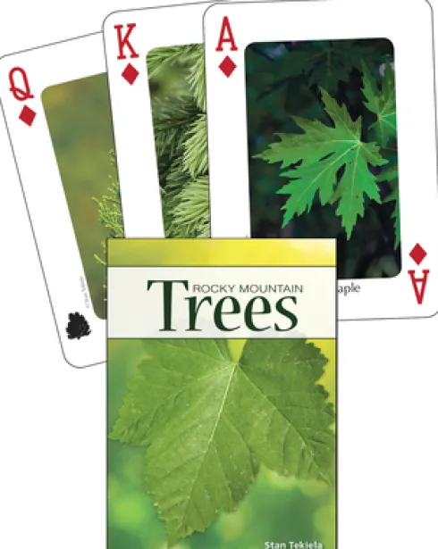 Trees of the Rocky Mountains Playing Cards